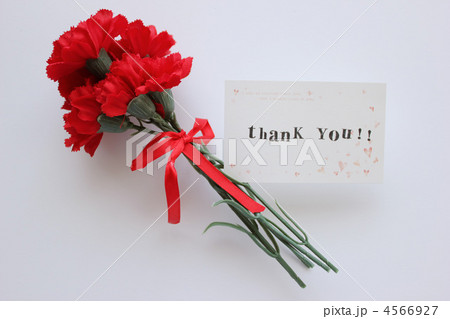 母の日のプレゼント 母の日のプレゼント 4566927