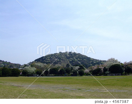 伊東市　小室山公園 4567387