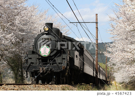 大井川鉄道　Ｃ１０　８号機牽引の旧型客車列車 4567423