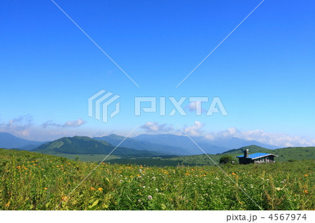 霧ヶ峰高原 4567974