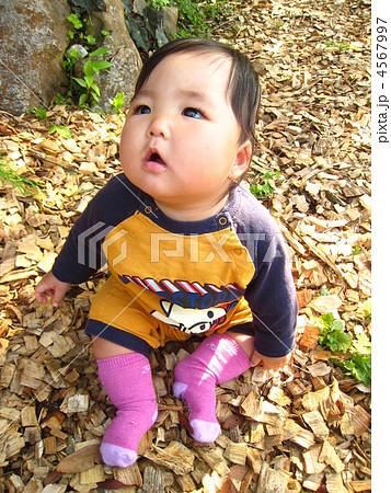 田舎で遊ぶ赤ちゃん 田舎で遊ぶ赤ちゃん 4567997