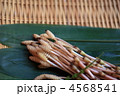 つくし 4568541