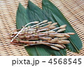 つくし 4568545