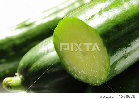 キュウリの断面 4568679
