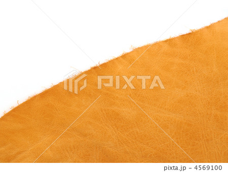 レザー素材 4569100