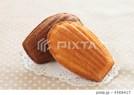 焼き菓子 マドレーヌ 焼き菓子 マドレーヌ 4569417