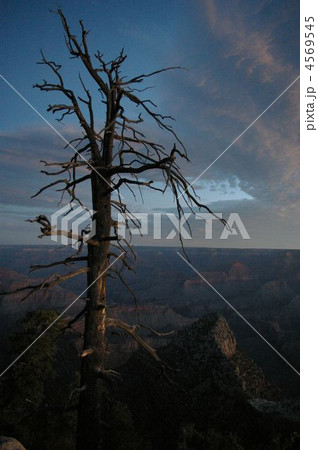 グランドキャニオン 4569545