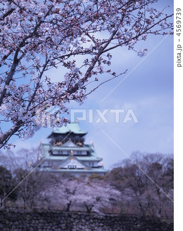 大阪城と桜 4569739