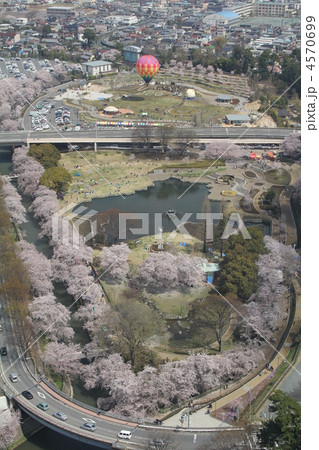 前橋公園 前橋公園 4570699