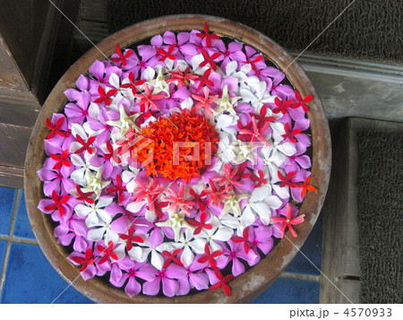 南国の浮き花の写真素材 南国の浮き花の写真素材