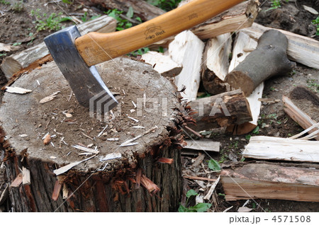 薪割り 4571508