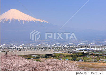 富士山と新幹線と桜 4571975