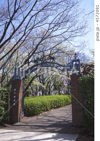 根岸競馬記念公苑 4572091