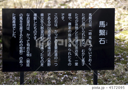 根岸競馬記念公苑の馬繋石 4572095