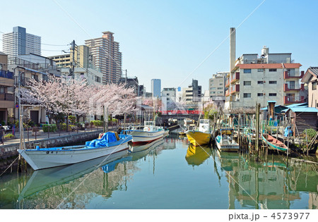 佃島散歩・掘割（佃川支川）と佃小橋 4573977