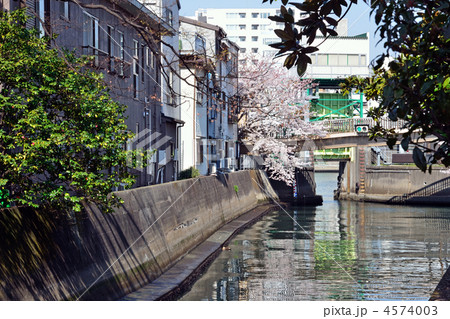佃島散歩・掘割（佃川支川）と住吉水門 4574003