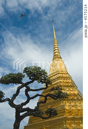 Golden stupa and a tree over blue sky background Golden stupa and a tree over blue sky background 4575214