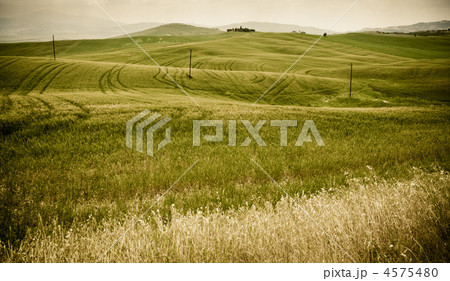Typical Tuscan landscape Typical Tuscan landscape 4575480