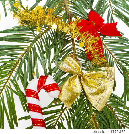 Christmas branch 4575872