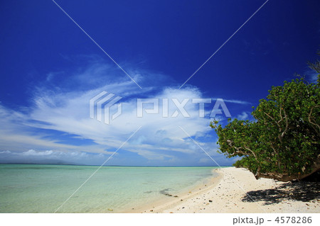 沖縄　竹富島とブルーラグーン 4578286