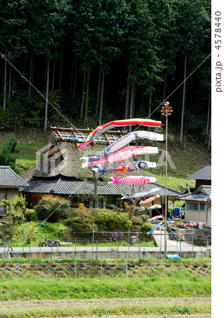 鯉のぼり　端午の節句 4578440