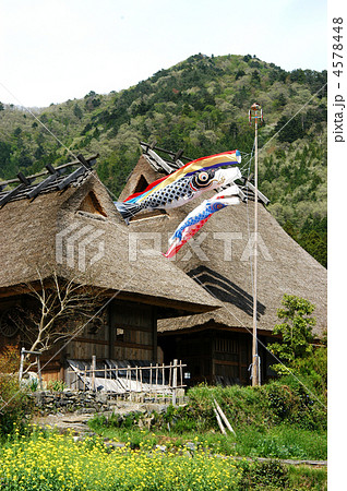 鯉のぼり　端午の節句 4578448