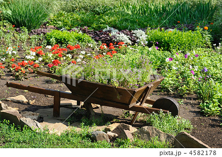 Landscaped flower garden 4582178