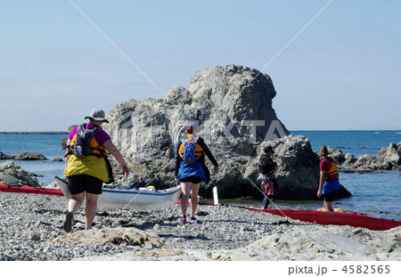 シーカヤックの仲間 4582565