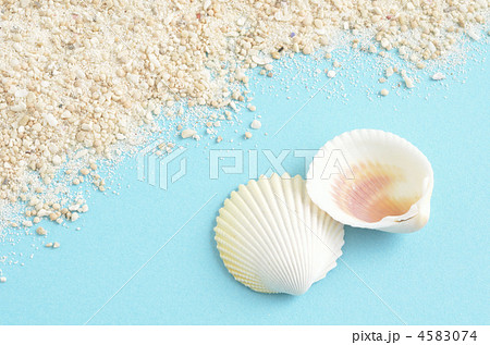 夏のイメージ 夏のイメージ 4583074