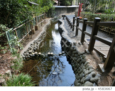 お鷹の道　真姿の池湧水群　1 4583667