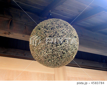 酒屋の杉玉 酒屋の杉玉 4583784