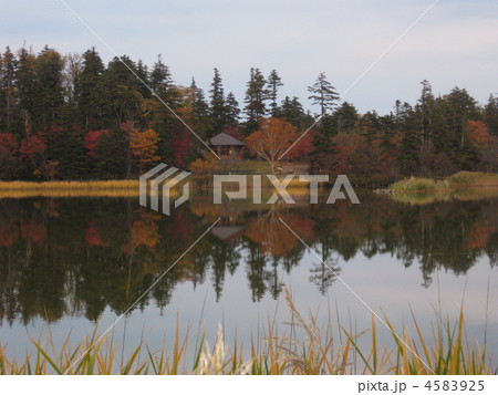 紅葉の利尻島 姫沼 紅葉の利尻島 姫沼 4583925