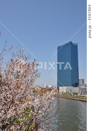 大阪ビジネスパークと桜 4587804