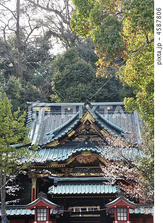 八千戈神社 4587806