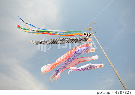 風にたなびく鯉のぼり 4587828
