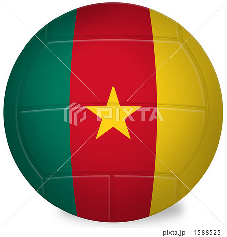 バレーボール-カメルーン 4588525