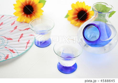 夏のひと時 4588645