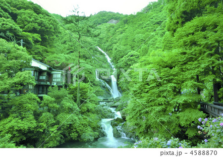 見帰りの滝 4588870