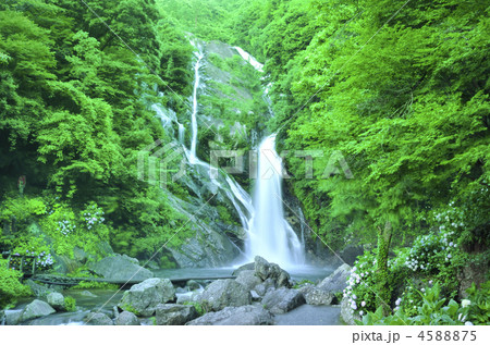 見帰りの滝 見帰りの滝 4588875