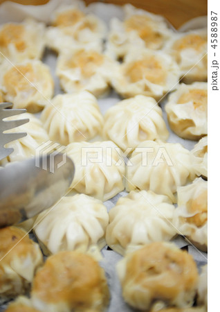 小龍包 小龍包 4588987