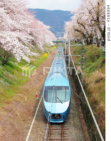山北　桜とあさぎり 4588994