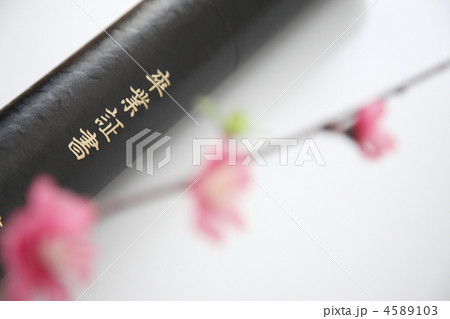 卒業 4589103