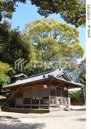 熊野神社 4589783