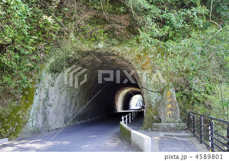 青の洞門 青の洞門 4589801