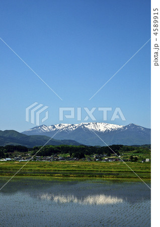 水田と蔵王連峰 水田と蔵王連峰 4589915