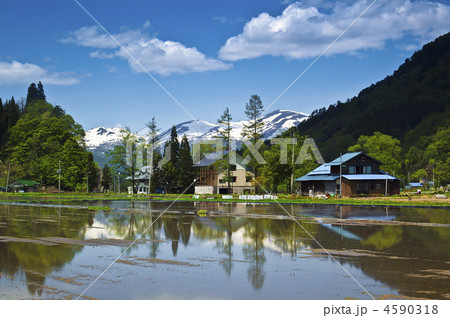 小さな山里・西川町大井沢 小さな山里・西川町大井沢 4590318