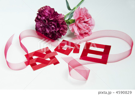 母の日プレゼントイメージ 4590829