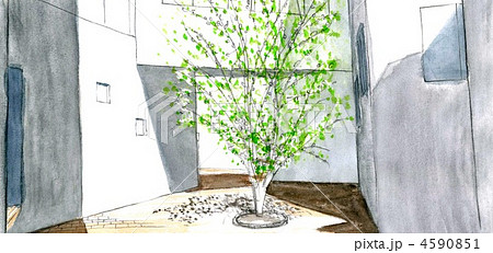 中庭のイラスト素材 [4590851] - PIXTA