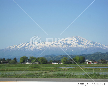 5月の鳥海山と水田 4590891