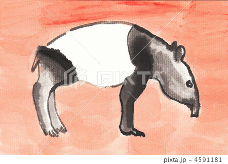 バク 動物 手描きのイラスト素材